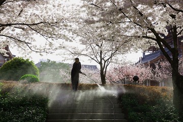 DSC05972_压