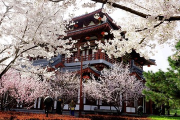 DSC06002_压