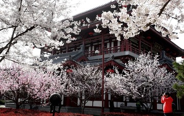 DSC06031_压