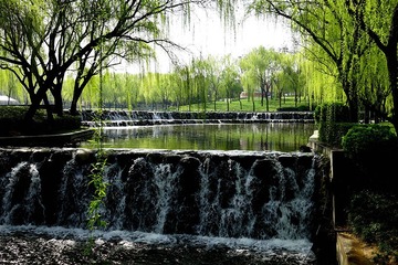 DSC06047_压