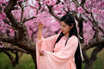 DSC02459_好压