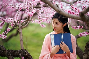 DSC02554_好压