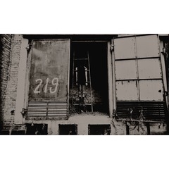 21 拷贝