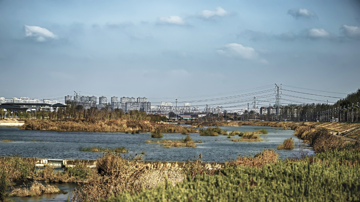 冬日青岛墨水河