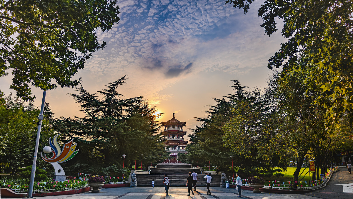 秋日夕阳下的高密市凤凰公园(3) - 长焦距 - 图虫