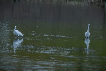 1530506