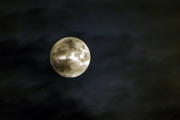 1520440