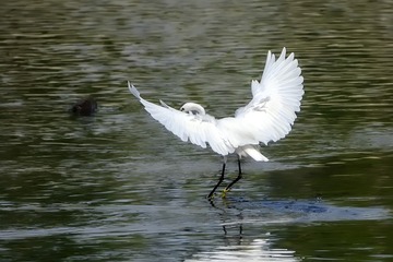 1513634