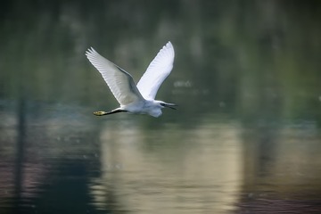 1613075