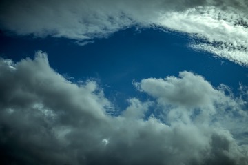 1554161