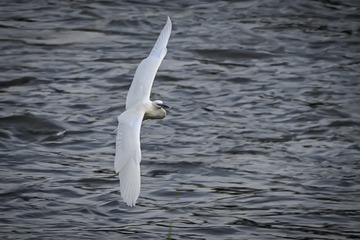 1609365