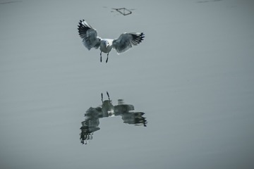 1539562