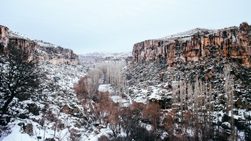 IMG_6950-4