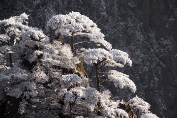 “_MG_3338”为智能对象-1