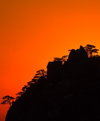 “_MG_3375”为智能对象-1