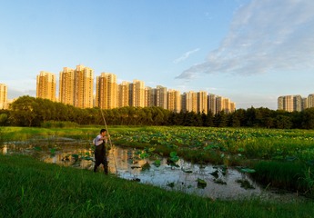 _MG_2941-1