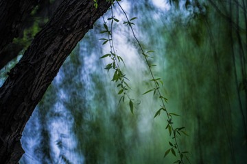 20150404-IMG_6953