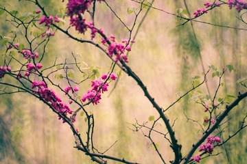 20150404-IMG_6963