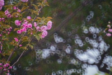 20150404-IMG_6912