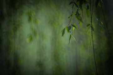 20150404-IMG_6938