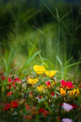 20150726-IMG_1946