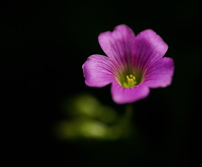 E0059CA4-5031-453A-8DA6-9A02B7A10B90/L0/001