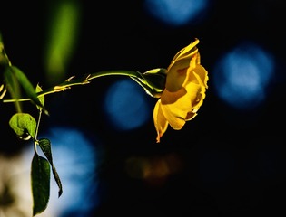 FA37D48F-CB0E-4290-8C4B-1F446C9228C6/L0/001