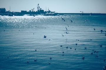 3F060347-A495-434B-B6B6-4F0DA3164E31/L0/001