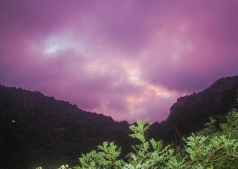 DSC00334_1