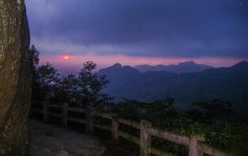 DSC00339_1