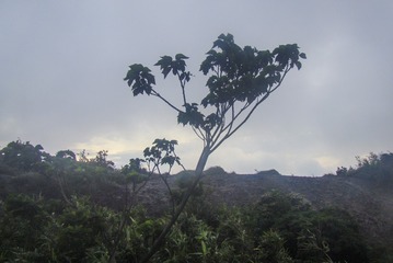 DSC00384_1