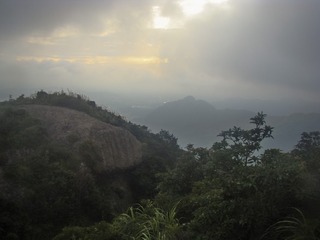 DSC00386_1