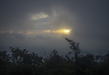 DSC00387_1