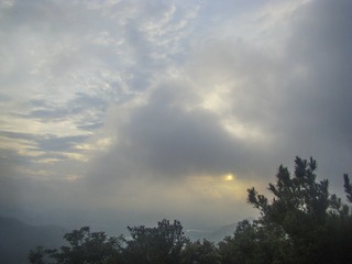 DSC00395_1