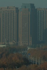 372661
