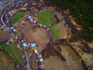 DJI_0141