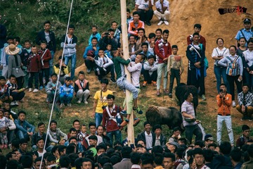 DSC_0743-1