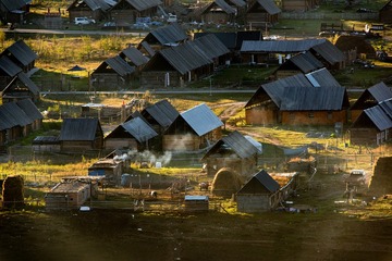DSC_2876-1