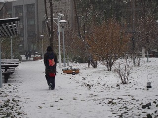 PB240124