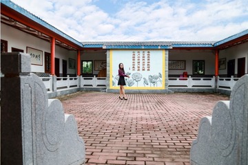 DPP_3060