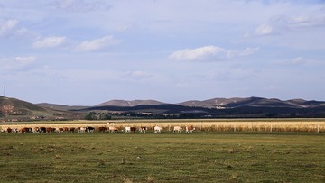 _MG_4017-S