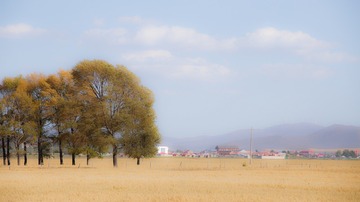 _MG_4109-S
