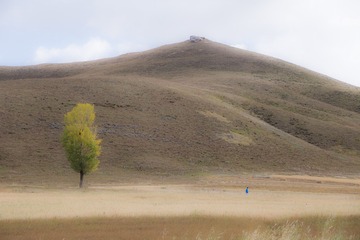 _MG_4393-S
