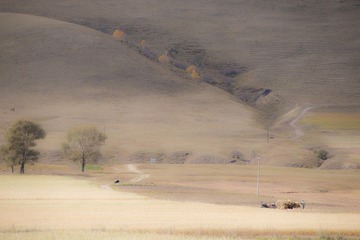 _MG_4554-S