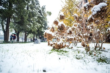 _MG_7167-S
