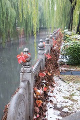 _MG_7892-S