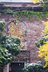 _MG_7904-S