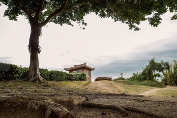 _MG_0001-S