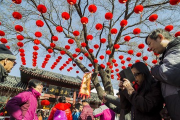 _MG_0914-1