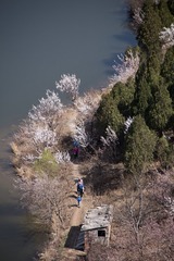 _MG_2248-1